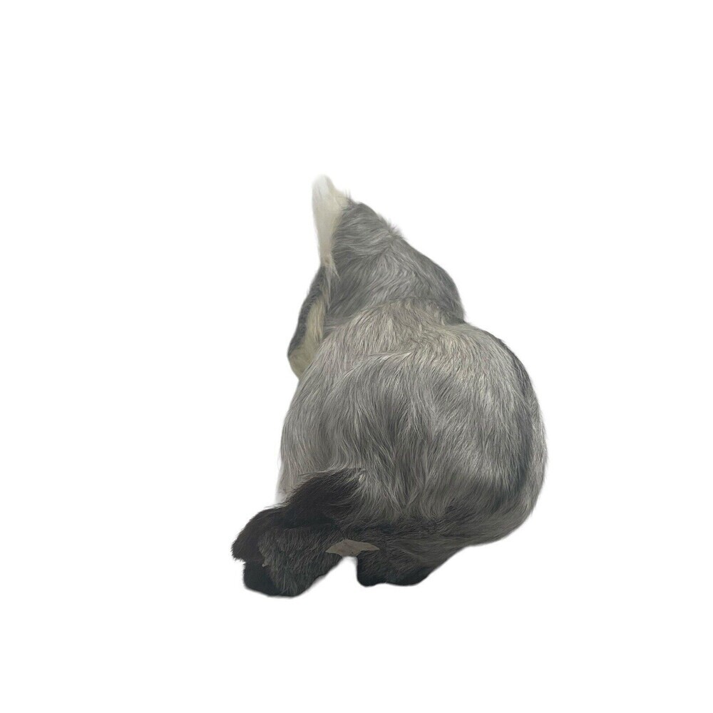 Koala Plush Real Hair Realistic 5” Stuffed Animal Toy Vintage RARE - Picture 14 of 15